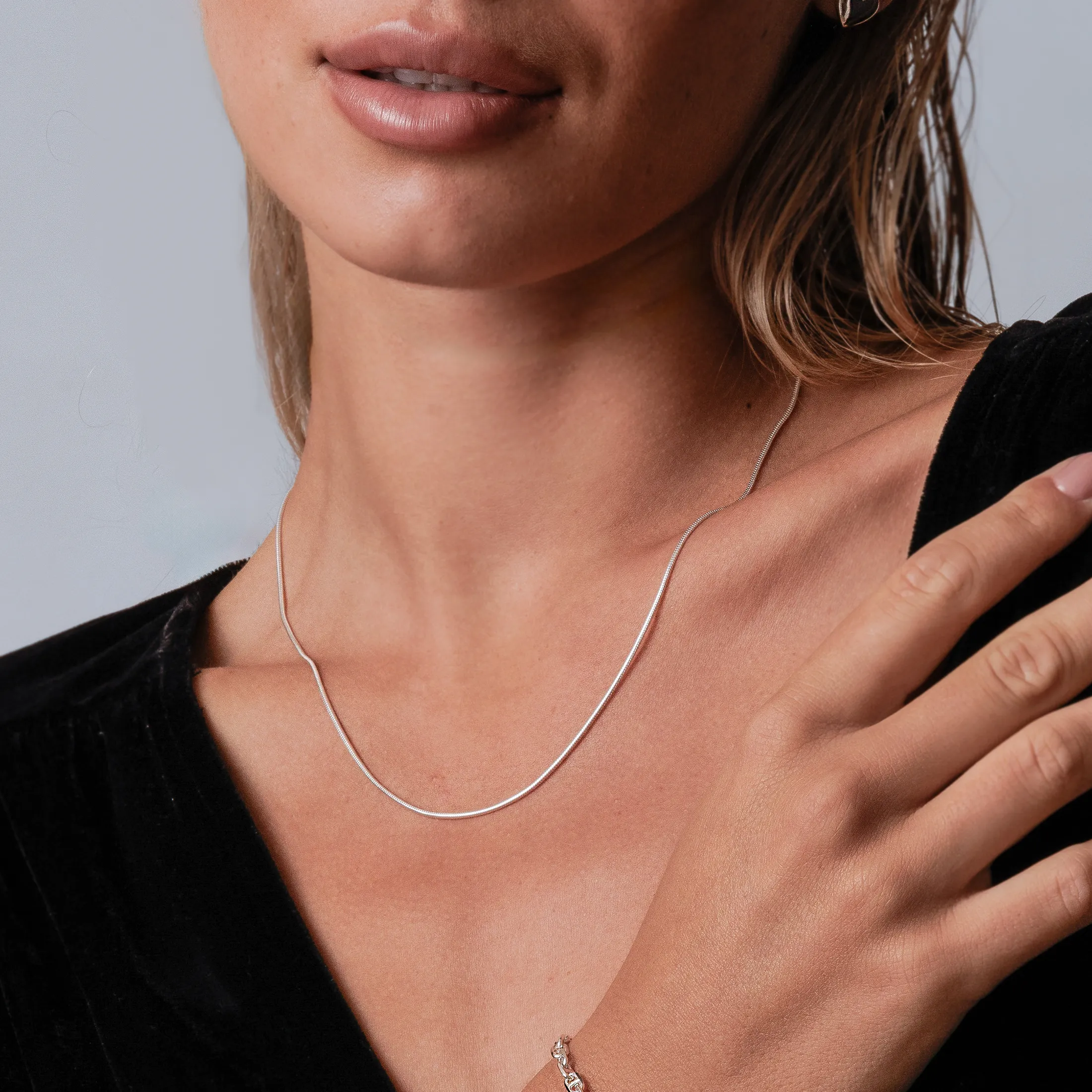 Round Thin Snake Chain Necklace - alternate view