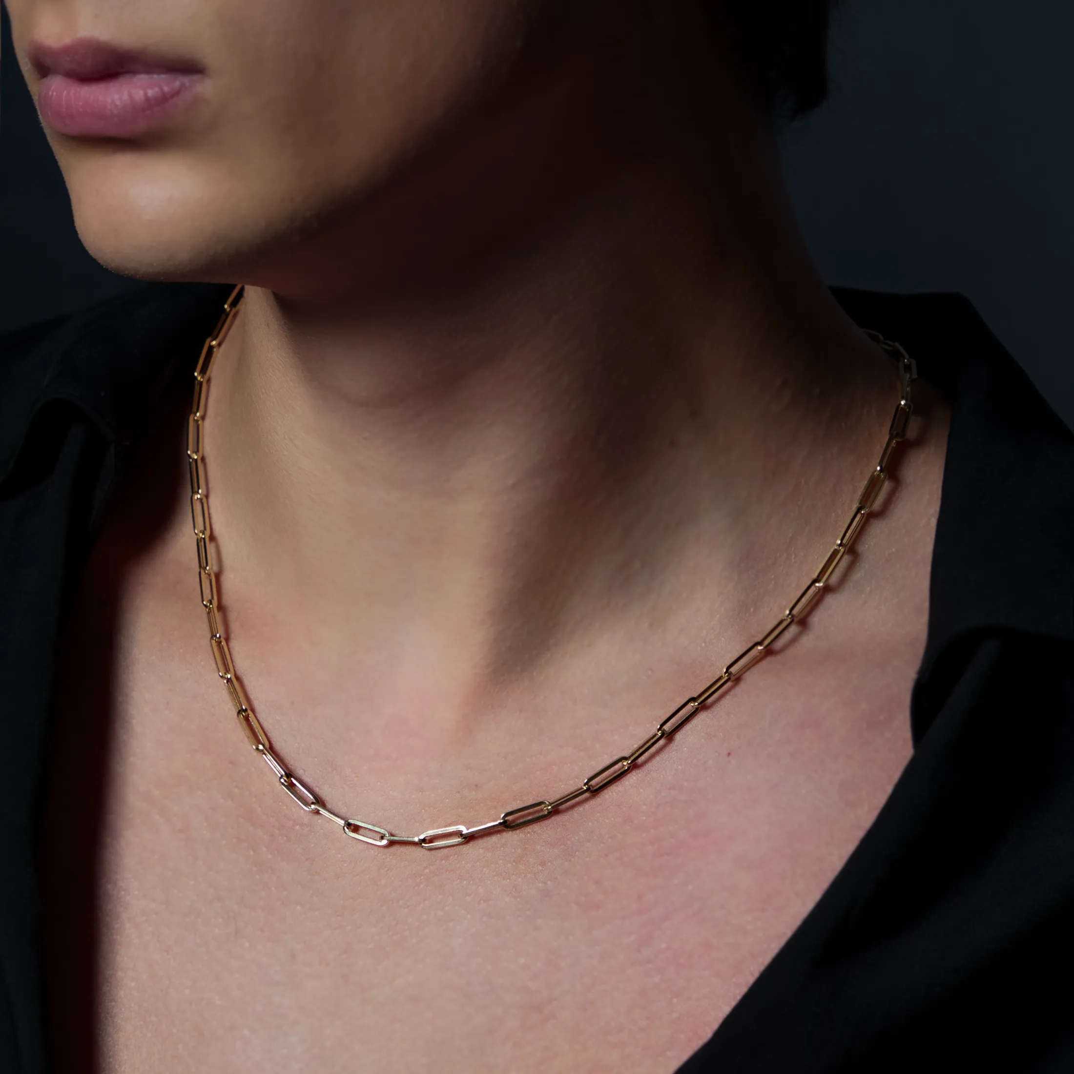 Petite Paperclip Chain Necklace - alternate view